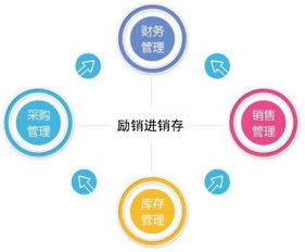 石家莊客戶資料記錄軟件價(jià)格與服務(wù)選擇指南